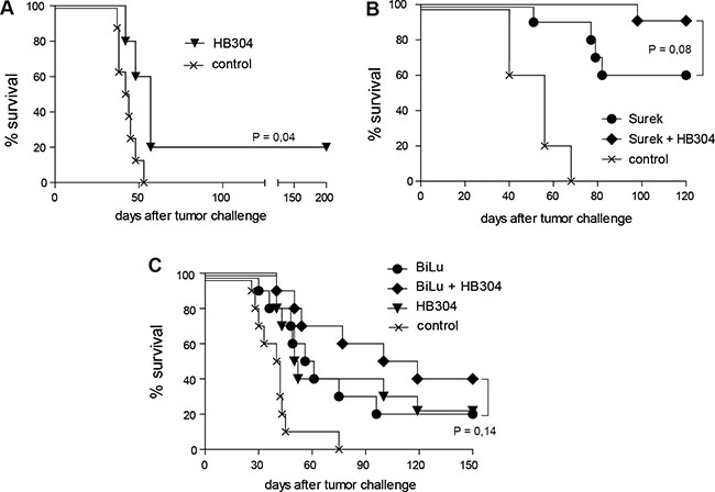 Direct trAb-mediated tumor destruction is moderately improved by combining trAb and anti-CTLA-4 therapy.