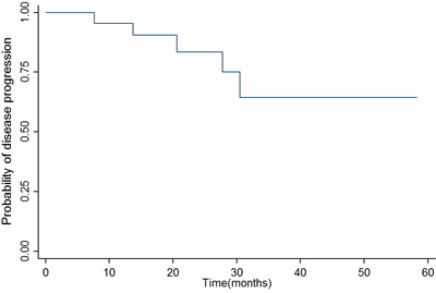 Kaplan&#x2013;Meier survival estimate of PFS.