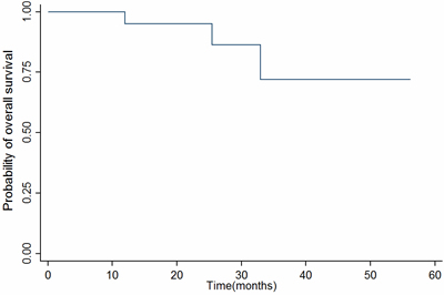 Kaplan&#x2013;Meier survival estimate of OS.