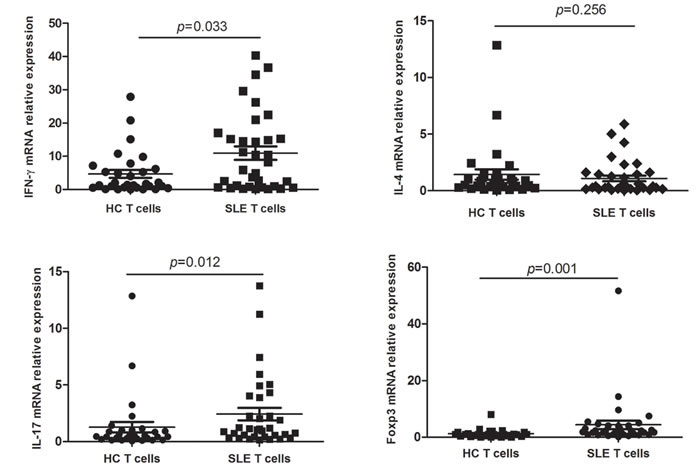 IFN-&#x3b3;, IL-4, IL-17 and Foxp3 expression in T cells from SLE patients.
