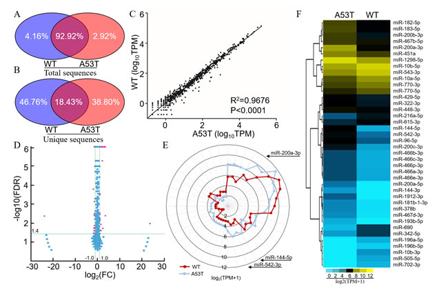 A53T-transgenic mice exhibited a distinct miRNA signature in the midbrain.