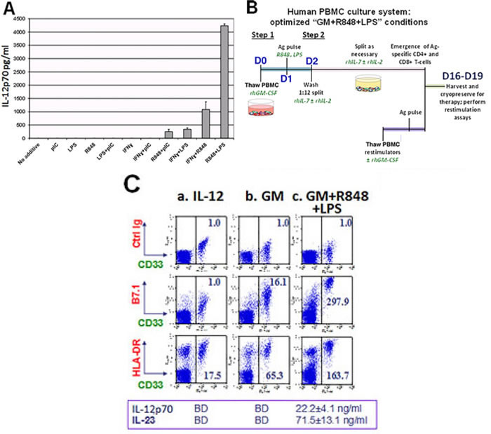 Unfractionated PBMC contain highly serviceable, readily activated myeloid Ag-presenting cells.