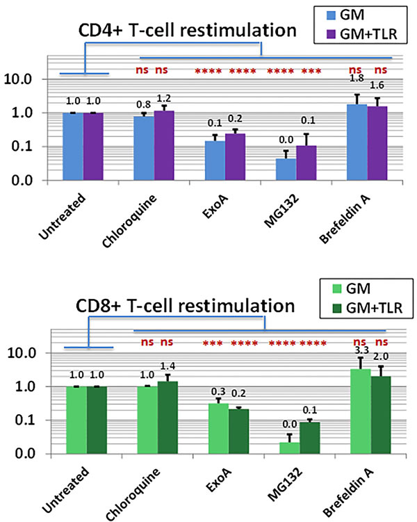 APC within the PBMC compartment forego acidification of exogenous Ag and utilize the proteasome and Sec61 for both MHC Class I and II presentation.