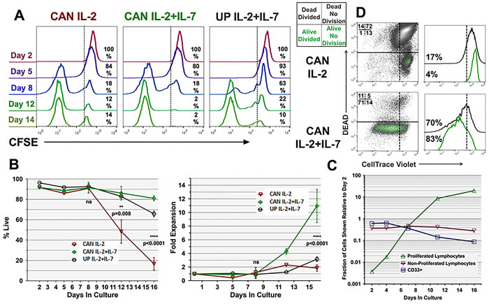 Kinetics of Ag-specific T-cell survival and proliferation attributable to rhIL-7.