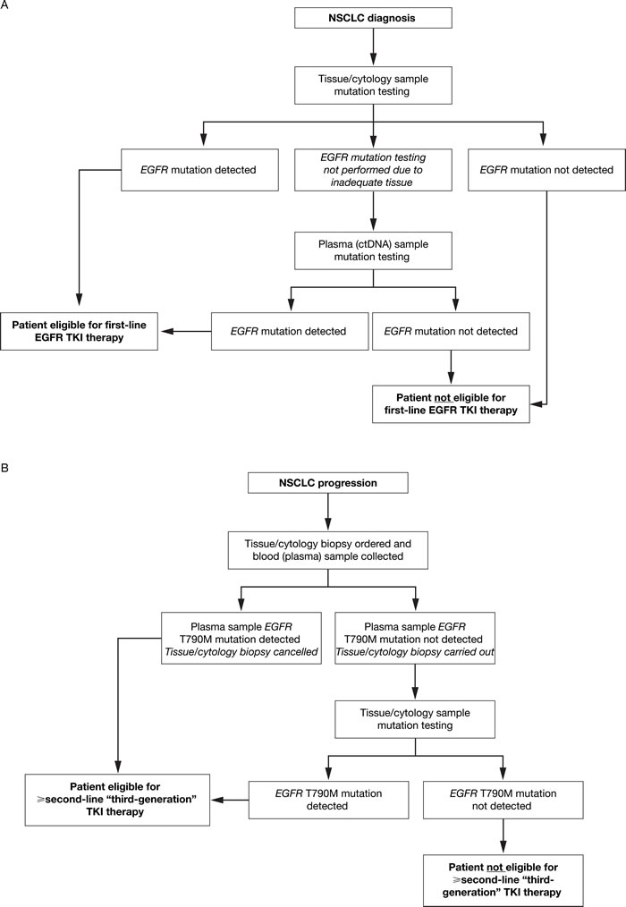 ctDNA mutation testing: recommended use to inform treatment selection at