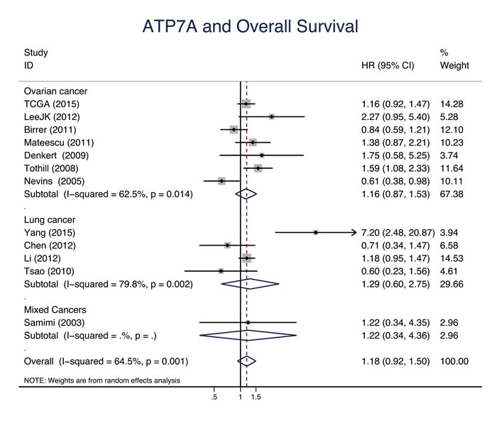ATP7A and overall survival.