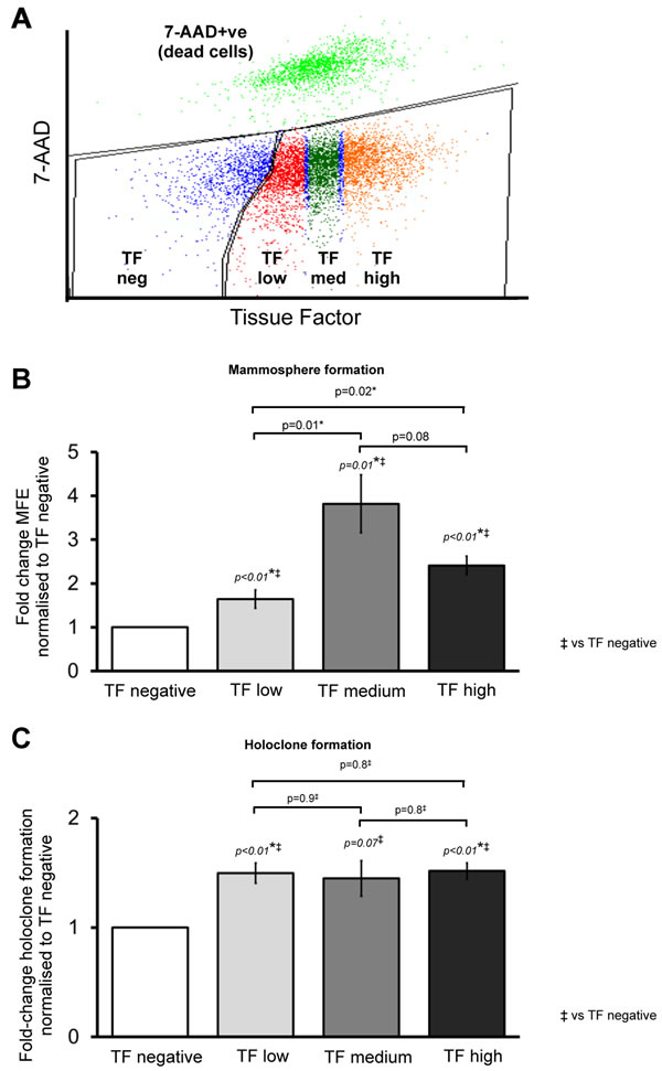 Cancer stem cell activity is increased in higher TF expressing breast cancer cells.