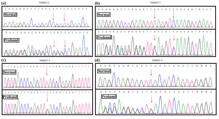 Mutation screening.