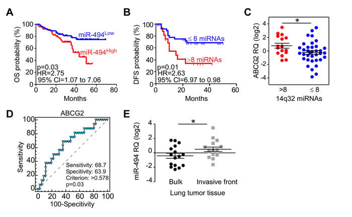 Chromosome 14q32 miRNAs and NSCLC progression in humans.