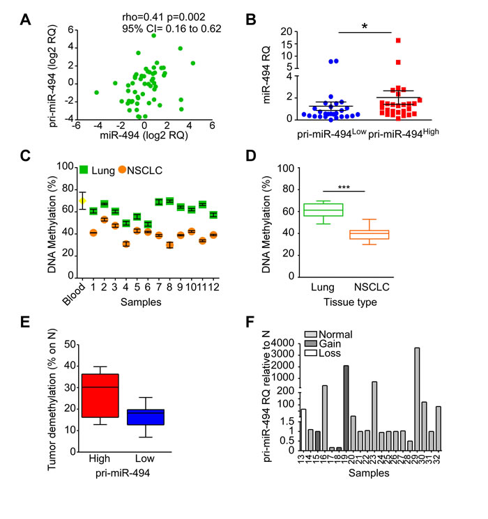 Regulation of miR-494-3p expression.