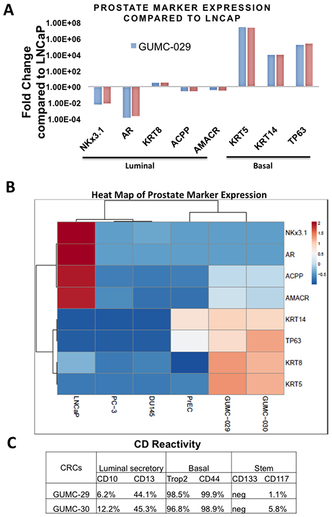 Characterization of prostate epithelial cells markers using qRT-PCR and Flow Cytometry.