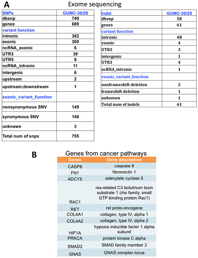 SNPs and INDELs and pathway analysis in tumor CR cells.