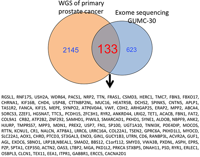 Overlapping genes from GUMC-30 and Garraway&#x2019;s study with NGS are shown.