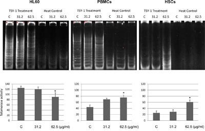 The changes of telomerase activity following TSY-1 treatment in HL60 cells, PBMCs and HSCs.