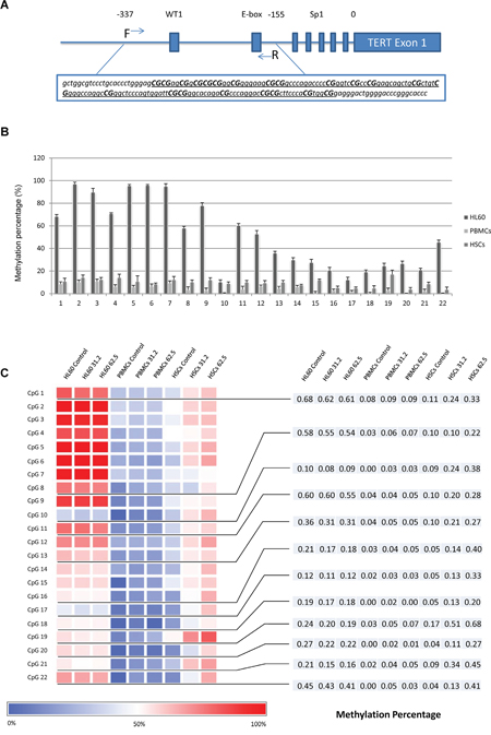 Distinct methylation profiles among different cells and treatment.