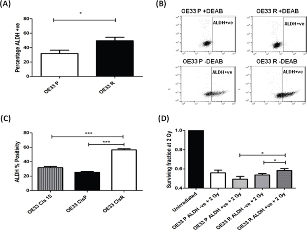 Radioresistant and cisplatin-resistant EAC cells have increased ALDH enzymatic activity, and is associated with a radioresistant phenotype.