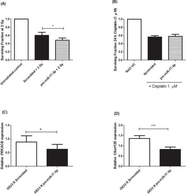 miR-17-5p sensitises radioresistant OE33 R cells to radiation and downregulates PRKACB and C6orf120 expression.