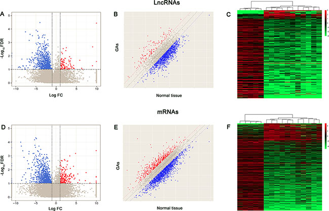 Volcano plots, scatter plots and heat map showing expression profiles of lncRNAs and mRNAs.