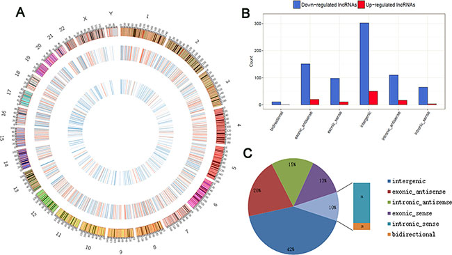 Identification of differentially expressed lncRNAs in GA.