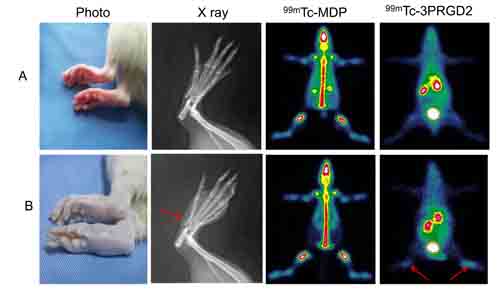 Receptor imaging with