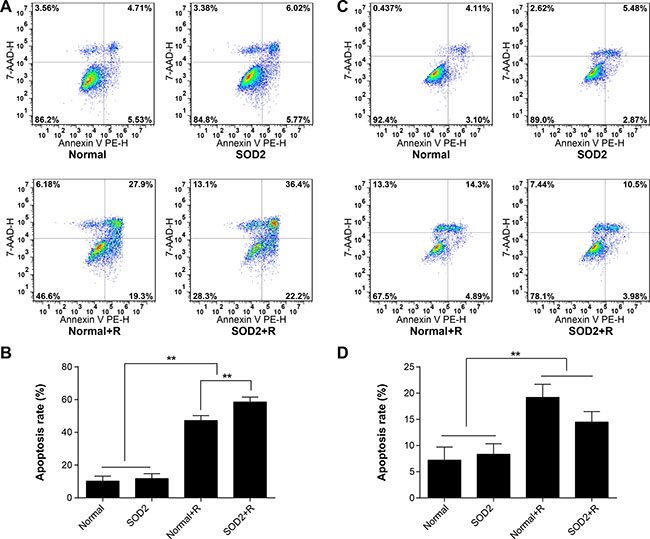 Apoptosis ratio of HT-29 and CCD 841 CoN cells receiving different treatments.