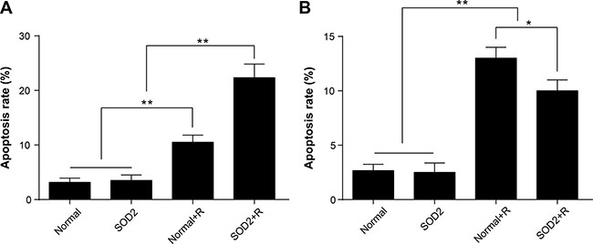 Radiation-induced overexpression of SOD2 elevated apoptosis of tumor tissues while decreasing apoptosis of peritumoral skin tissues.
