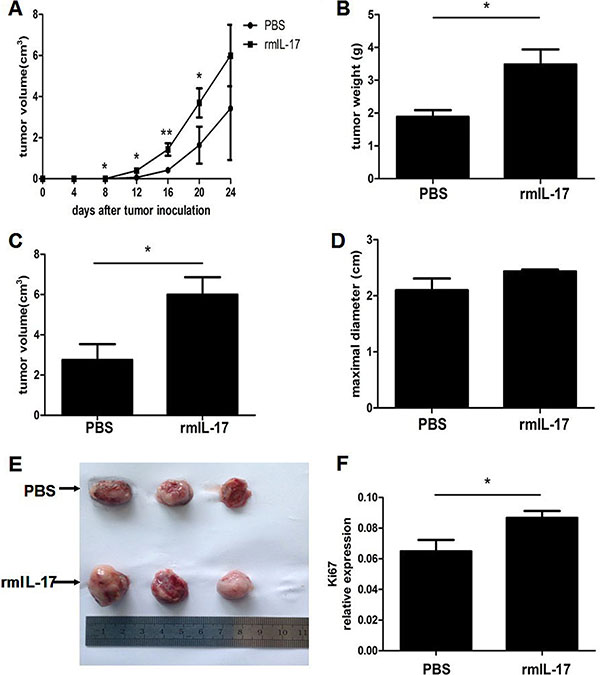 IL-17 promotes LLC tumor development in vivo.