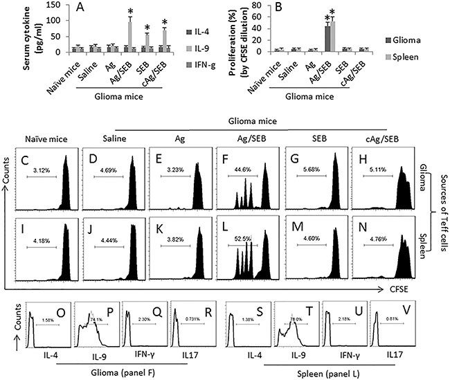 SEB facilitates glioma-specific Th9 response in glioma-bearing mice.