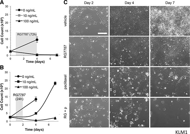 Duration of RG7787 treatment affects anti-tumor efficacy.