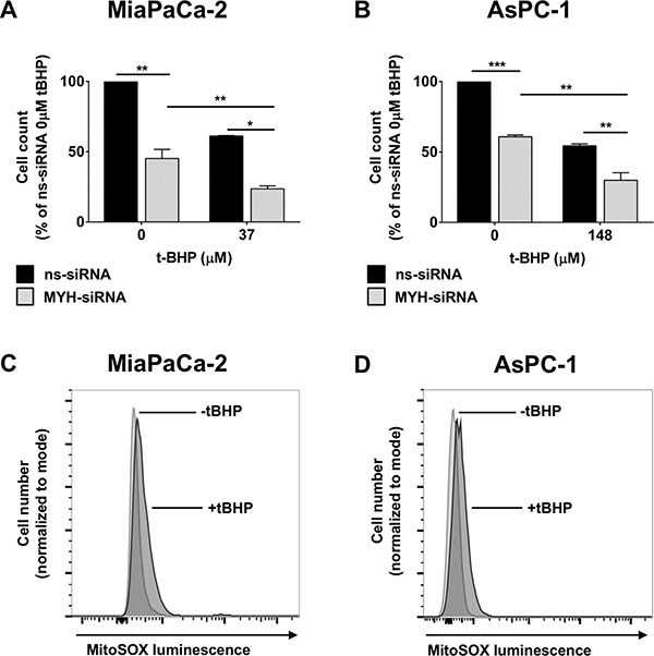 The effect of MYH knockdown on pancreatic cancer cell proliferation and sensitivity to oxidative stress.