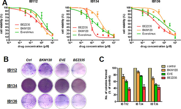 Antiproliferative and apoptotic activities of BEZ235, BKM120 and everolimus (EVE) in LMS cell lines.
