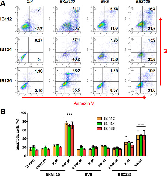 Effect of BEZ235, BKM120 and everolimus (EVE) on LMS cell apoptosis.