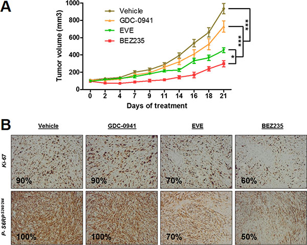 Anti-tumor effect of BEZ235, BKM120 and everolimus (EVE) on human IB136 cell xenografts in Rag&#x03B3;2C&#x2013;/&#x2013; mice.