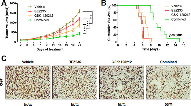 Synergistic anti-tumor effect of the BEZ235 and GSK1120212 combination in human IB136 cell xenografts in Rag&#x03B3;2C-/- mice.