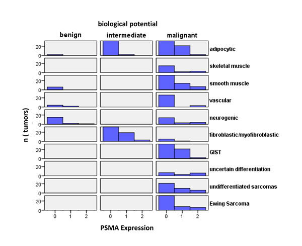 Histograms of tumors according to their biological potential and PSMA labelling index.