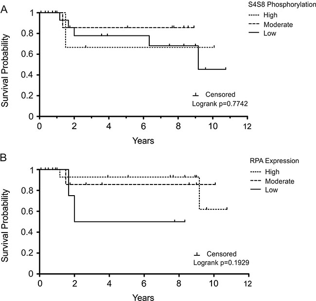 Kaplan-Meier survival plot examining OSCC survival probability in the subgroup of patients who were treated with chemotherapy/radiation therapy.