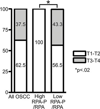 Chart displaying the proportional breakdown of OSCC tumor grade classification (T1-T2, T3-T4) in comparison to relative low or high S4S8-RPA phosphorylation levels (All OSCC (n = 56); High RPA-P (n = 8); Low RPA-P (n = 30).