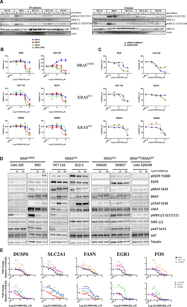 Effects of LY3009120 on signaling and gene expression.