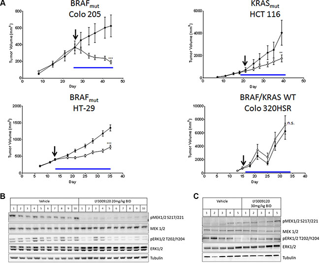 Effects of LY3009120 on CRC xenografts.