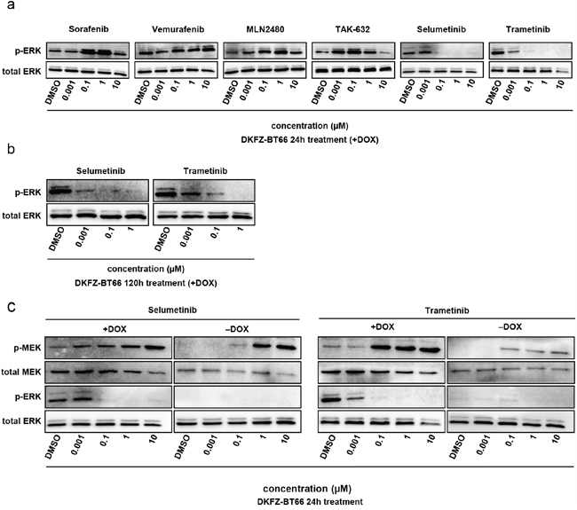 Figure 5: