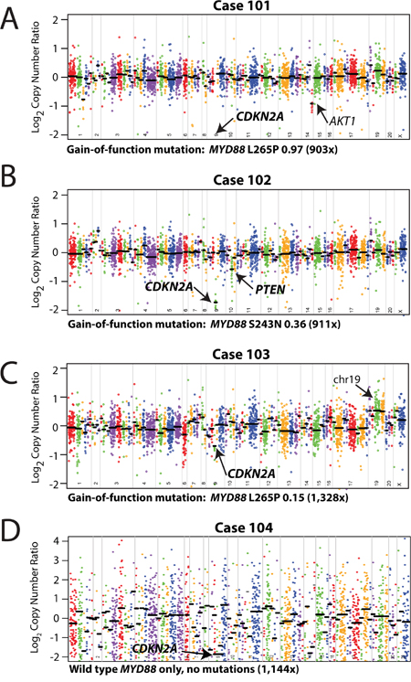 Mutation and copy-number analysis of vitreoretinal lymphomas from next generation sequencing data.
