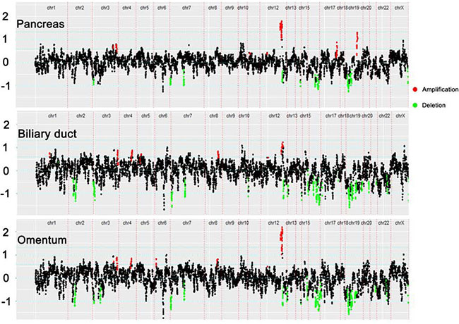 Copy-number variation (CNV) profiles of 390 key genes.