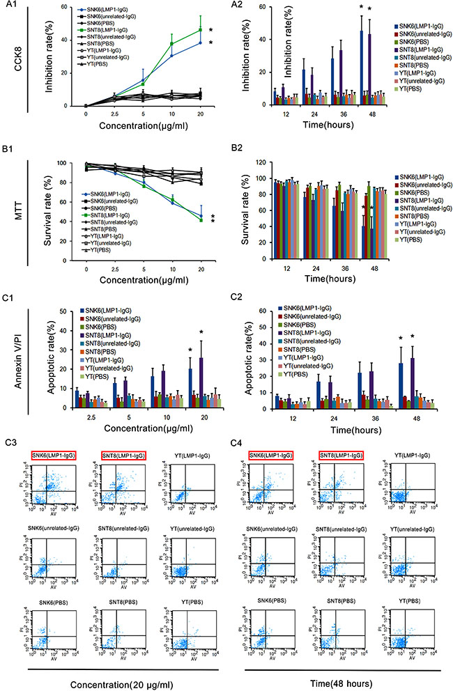 LMP1-IgG inhibits proliferation and induces apoptosis of ENKTL cells.