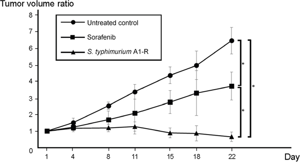 Intratumor (i.t.) administration of Salmonella typhimurium (S. typhimurium) A1-R regresses a patient-derived osteosarcoma xenograft model.