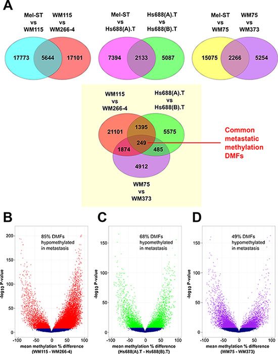 Strategy and landscape of differential methylation in melanoma metastasis.