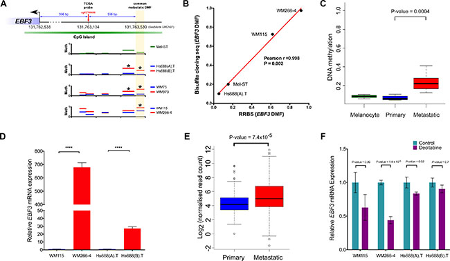 Confirmation of EBF3 promoter methylation using bisulfite sequencing, validation in an independent cohort, analysis of mRNA expression levels and the effect of DNA methylation inhibitor treatment on EBF3.