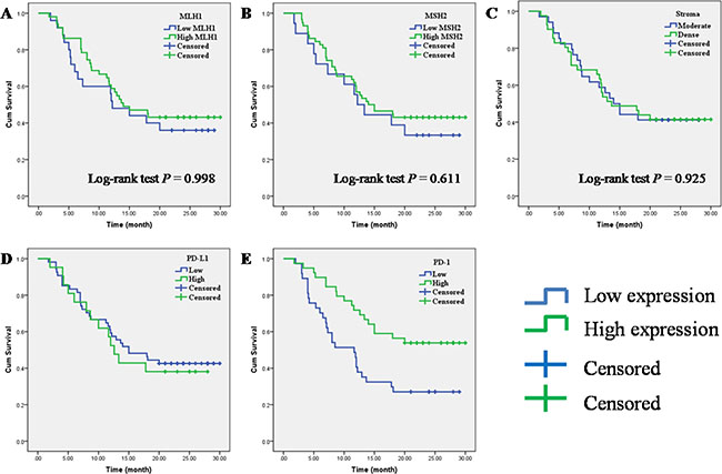 Prognostic impact of MLH1, MSH2, PD-1, PD-L1 and stroma density on overall survival in PC.