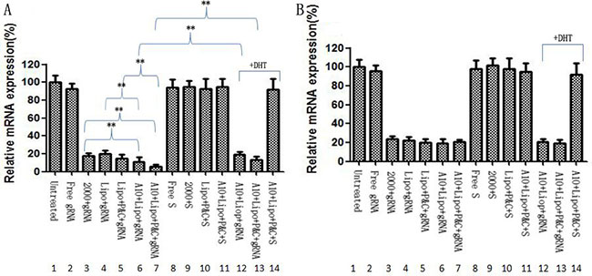 mRNA silencing in LNCap cells treated with different liposome chimeras.