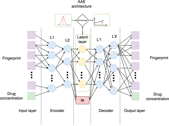 Architecture of Adversarial Autoencoder (AAE) used in this study.