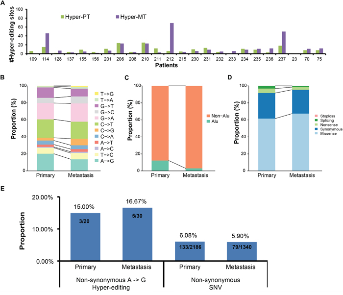 Comparison of hyper-editing sites in CDS regions between primary and metastatic samples.